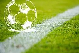 张本美晋升,新岗位,多年努力迎,世界杯直播,2026世界杯,赛事直播,足球直播,体育频道